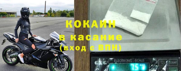 сатива Белоозёрский
