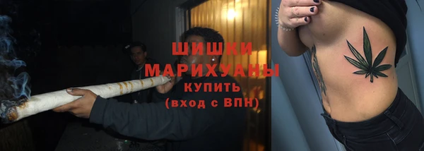 хмурый Белокуриха