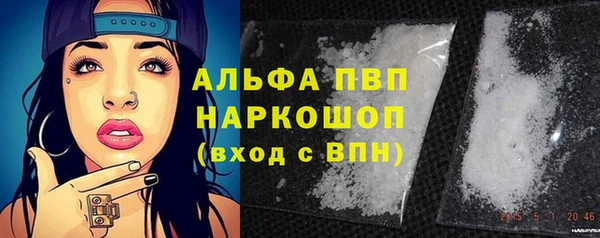 хмурый Белокуриха