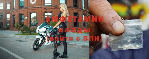 хмурый Белокуриха